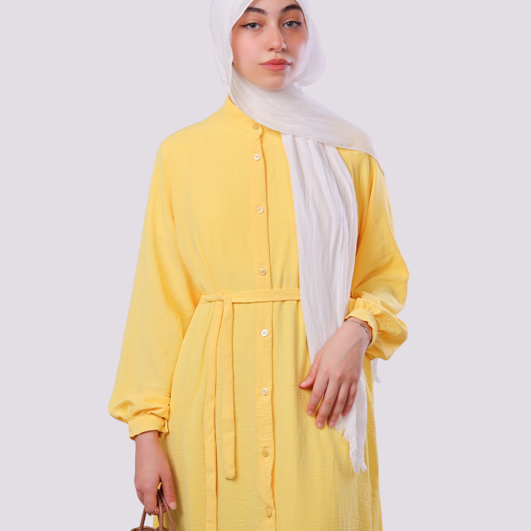 Shirt dress